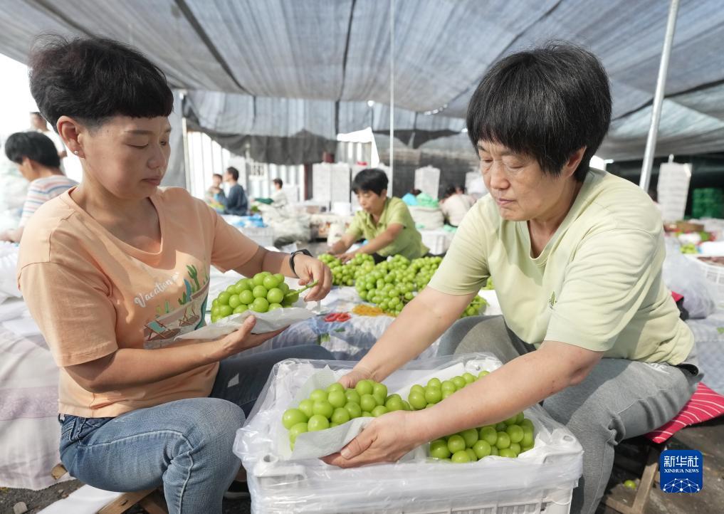 菲律宾欧博